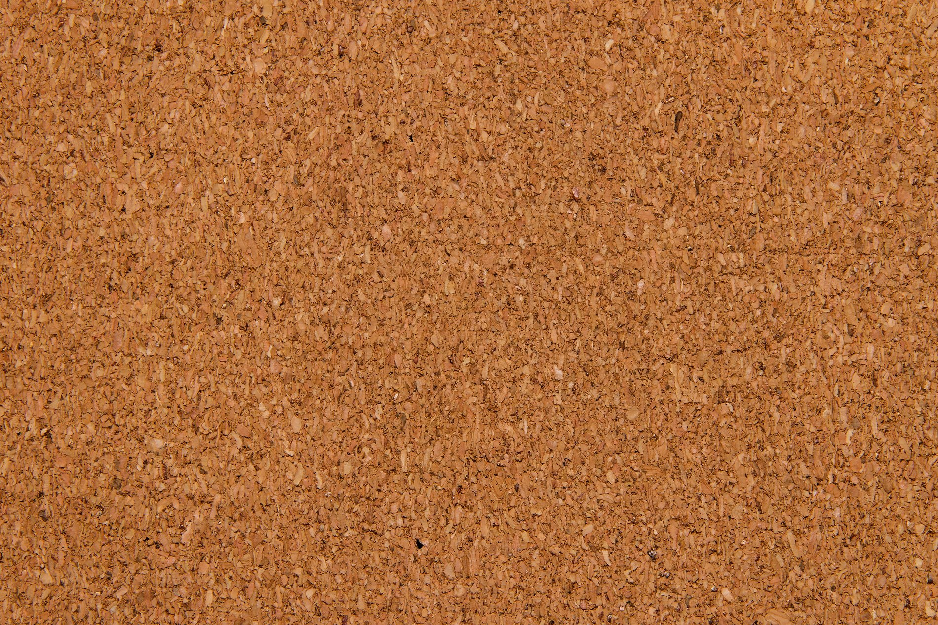 Corkboard